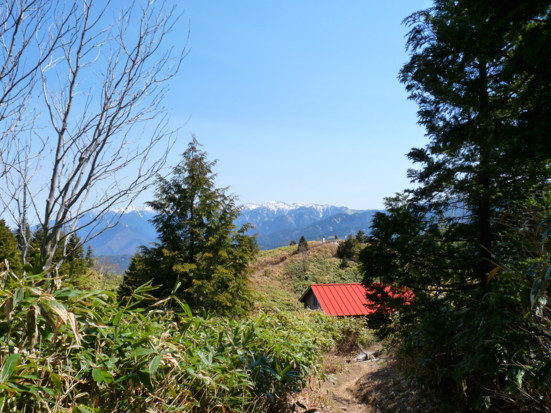 P1100668.jpg