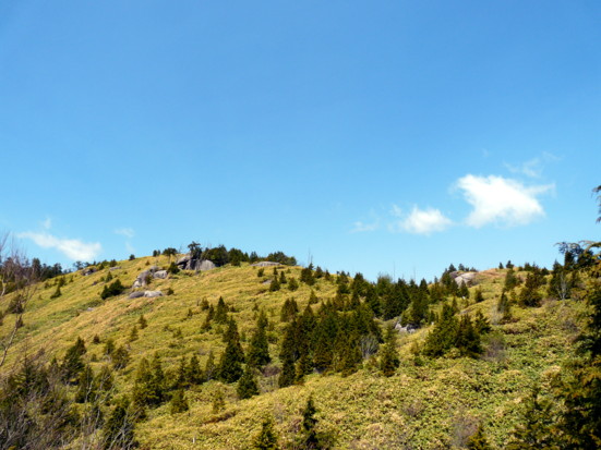 P1100675.jpg