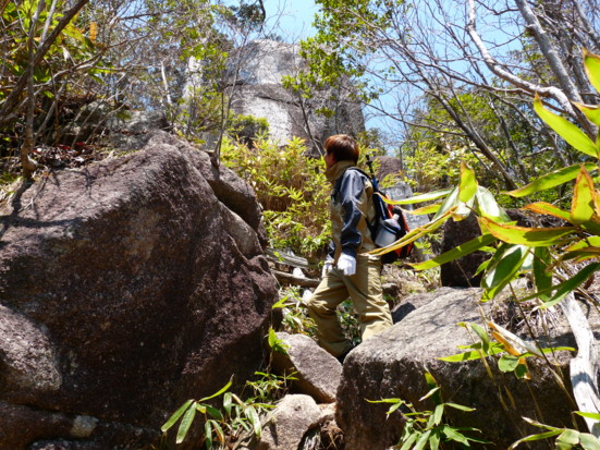 P1100682.jpg