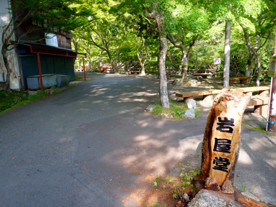 P1100748.jpg