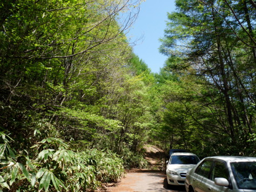 P1100760.jpg