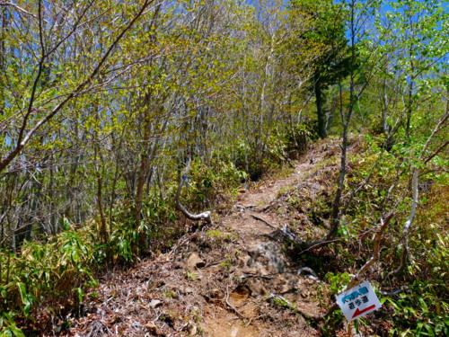 P1100793.jpg