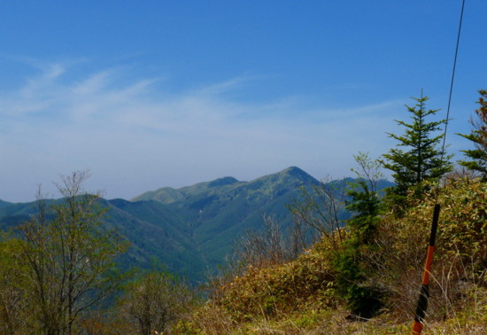 P1100798.jpg