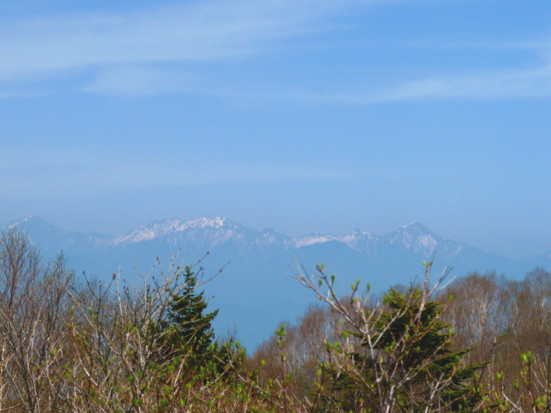 P1100803.jpg