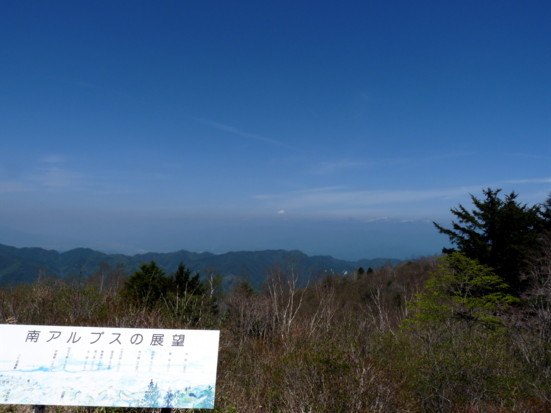 P1100809.jpg
