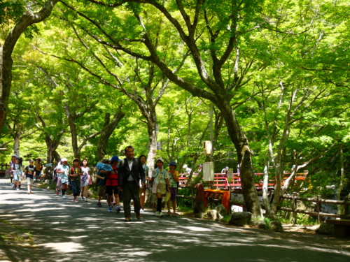 P1100866.jpg