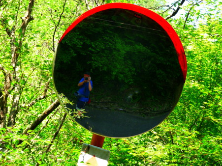 P1100876.jpg