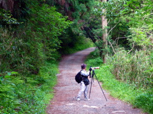 P1100891.jpg