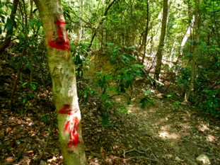 P1100915.jpg