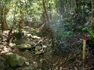 P1100917.jpg