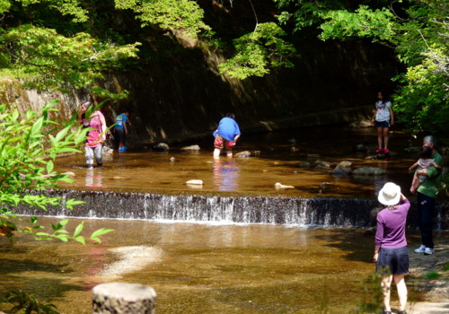 P1100938.jpg