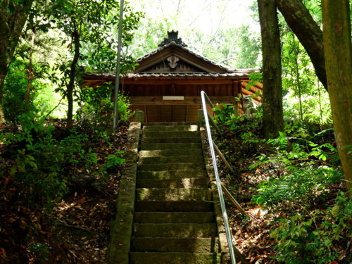 P1100983.jpg