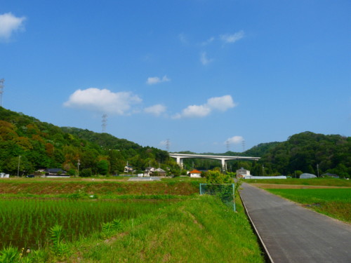 P1110013.jpg