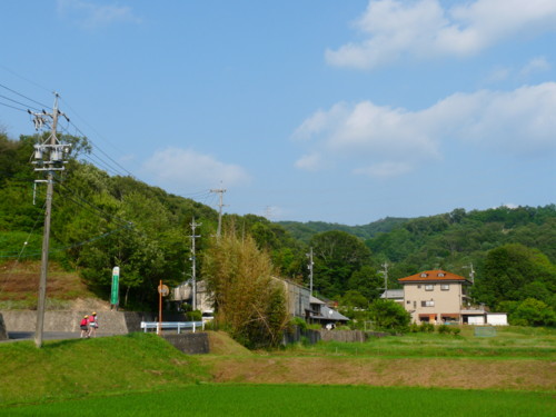 P1110014.jpg