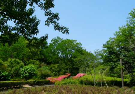 P1110015.jpg