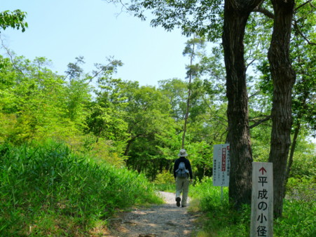 P1110016.jpg