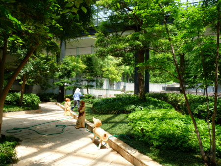 P1110031.jpg
