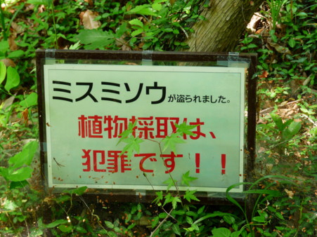 P1110035.jpg