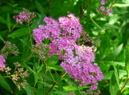 P1110043.jpg