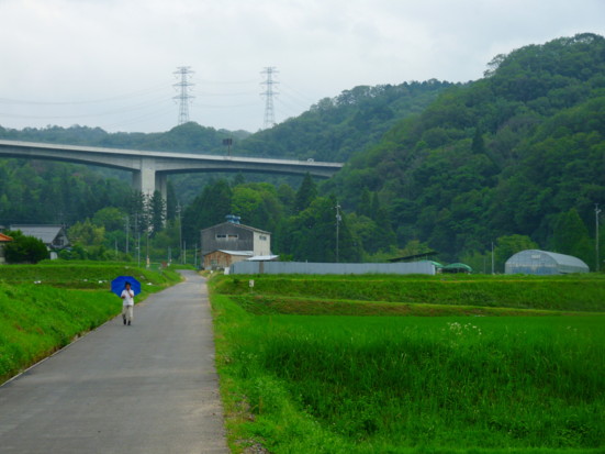 P1110319.jpg