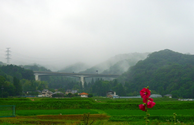 P1110335ds.jpg