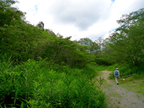 P1110373.jpg