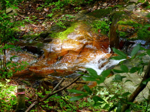 P1110374.jpg