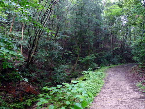 P1110760.jpg