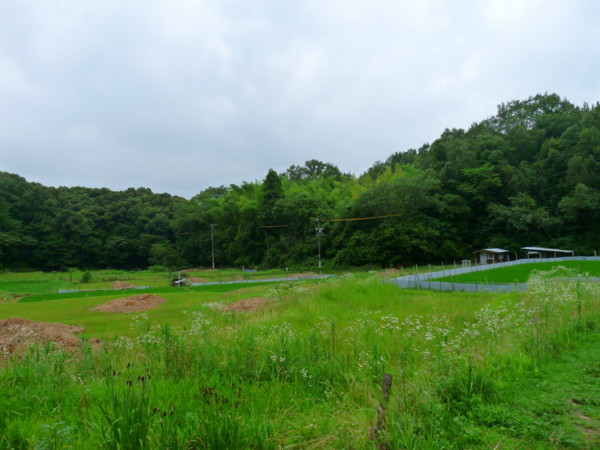 P1110776.jpg