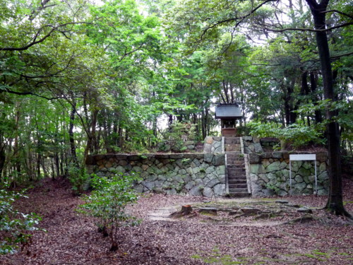 P1110782.jpg