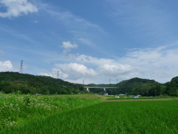 P1110805.jpg