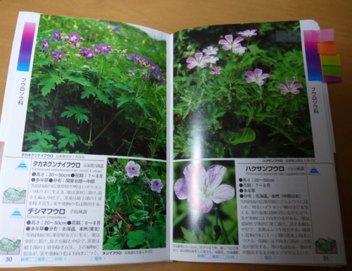 P1110920.jpg