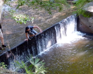 P1110946.jpg