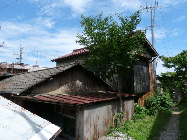 P1120010.jpg
