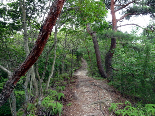 P1120021.jpg