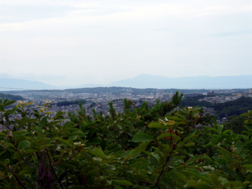 P1120022.jpg