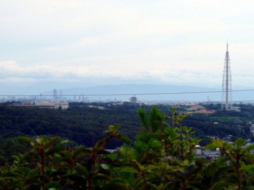 P1120023.jpg