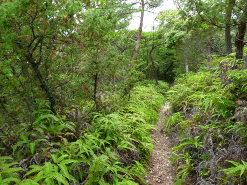 P1120024.jpg