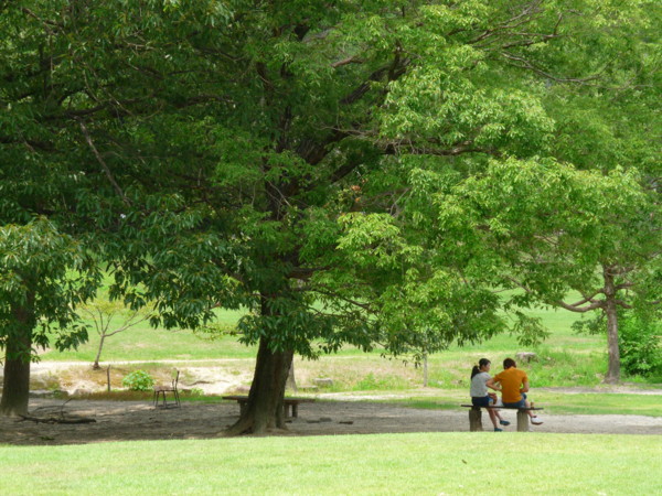 P1120150.jpg