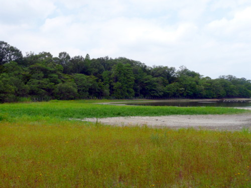P1120152.jpg