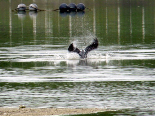 P1120153.jpg