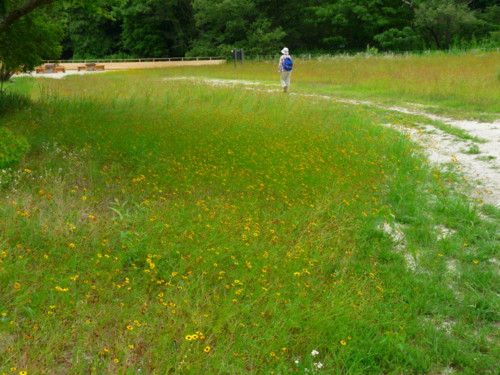 P1120156.jpg