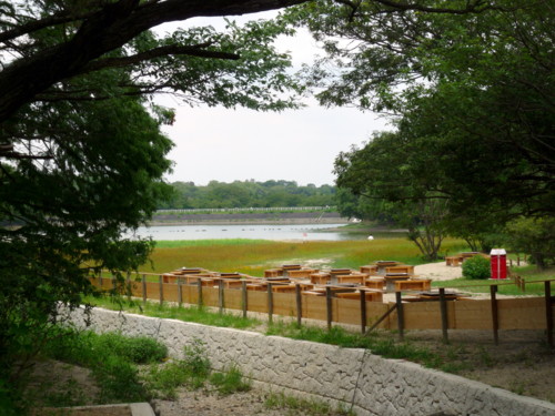 P1120160.jpg