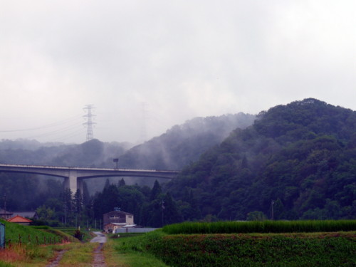 P1120252.jpg