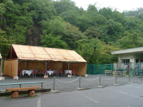 P1120265.jpg