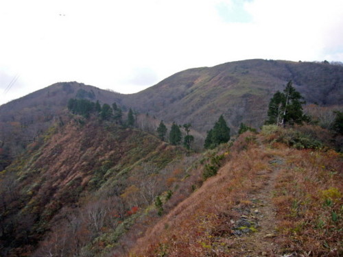 image062.jpg