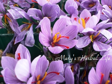 20111094.jpg