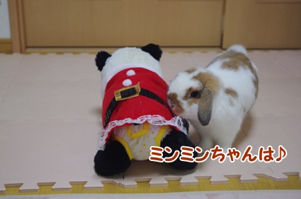 IMGP5899.jpg