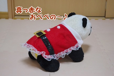 IMGP5902.jpg