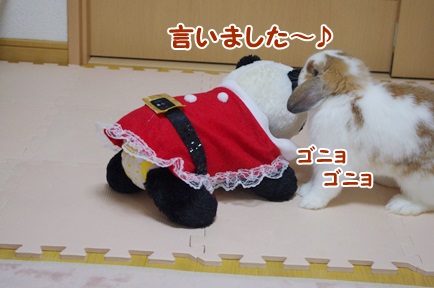IMGP5905.jpg